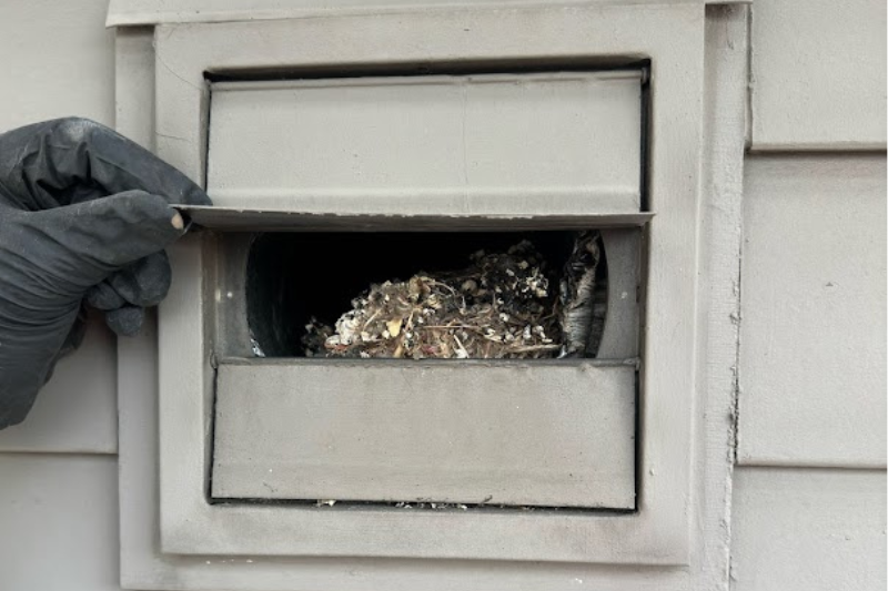 Dryer Vent Cleaning